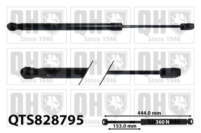 AMORTIZOR CAPOTA QUINTON HAZELL QTS828795