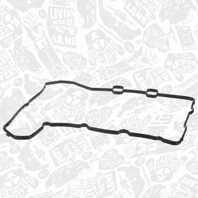 SET GARNITURI CARCASA DISTRIBUTIE ET ENGINETEAM TM0068 1