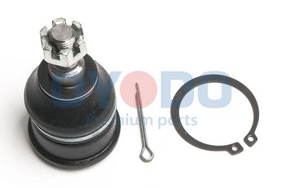 Šarnyras / girgždukas