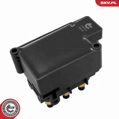 SUPAPA SISTEM SUPRAALIMENTARE ESEN SKV 97SKV315 4