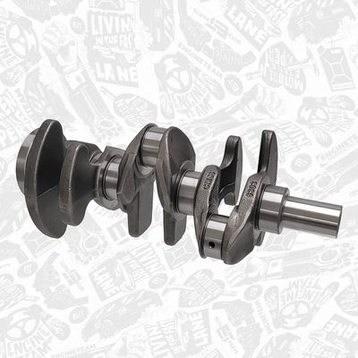 ARBORE COTIT ET ENGINETEAM HK0223 2