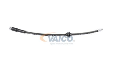 FURTUN FRANA VAICO V220628 26