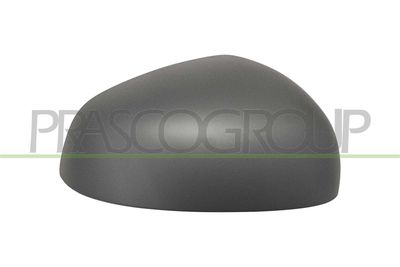 ACOPERIRE OGLINDA EXTERIOARA