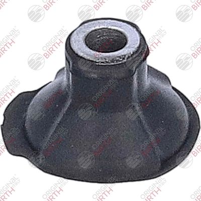 BUCSA ARBORE DE DIRECTIE