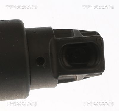 AMORTIZOR PORTBAGAJ TRISCAN 871011304 2