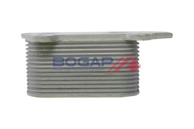 RADIATOR ULEI ULEI MOTOR BOGAP B4222113 2