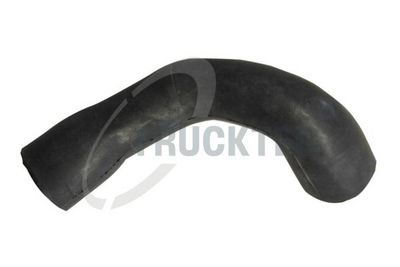 Žarna, karterio alsuoklis