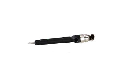 INJECTOR REMANTE 002003002091R 6