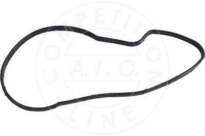 TERMOSTAT LICHID RACIRE AIC 57446 4