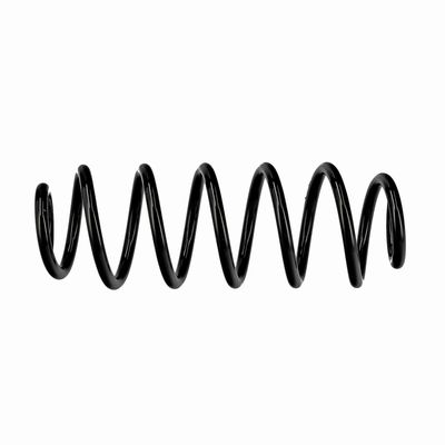 ARC SPIRAL EIBACH R10413 19
