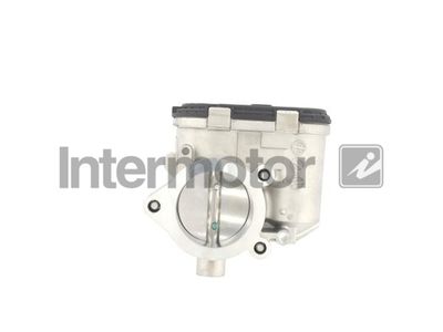 Throttle Body Intermotor 68263