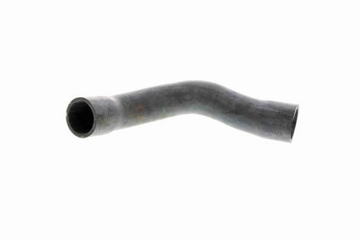 FURTUN RADIATOR VAICO V201241 1