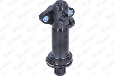 FLANSA LICHID RACIRE BIRTH 81773 12