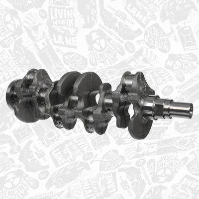 ARBORE COTIT ET ENGINETEAM HK0237 1