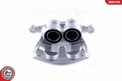 Brake Caliper 50SKV021