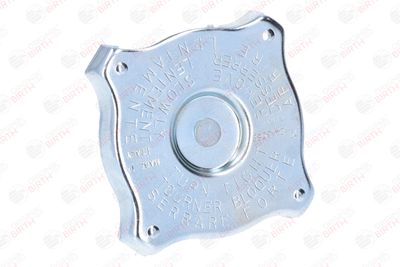 BUSON RADIATOR BIRTH 8088 11