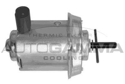 Вентилятор, охлаждение двигателя AUTOGAMMA GA201655 для RENAULT 5