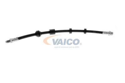 FURTUN FRANA VAICO V950481 48