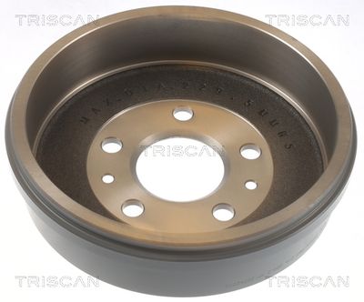 Tambur frana TRISCAN 8120 25227C