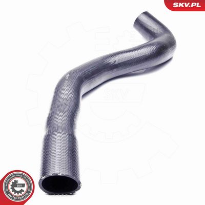 FURTUN EAR SUPRAALIMENTARE ESEN SKV 43SKV069 2