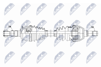 PLANETARA NTY NPWPL174