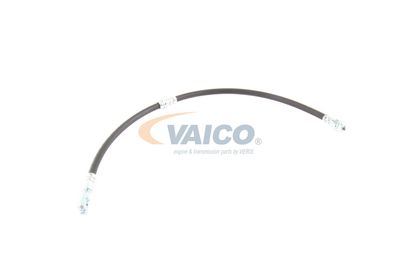 FURTUN FRANA VAICO V103077 57