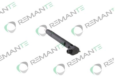 INJECTOR REMANTE 002003000176R 1