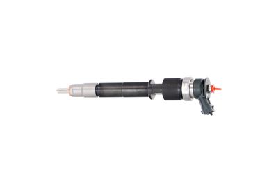 INJECTOR REMANTE 002003001319R 15