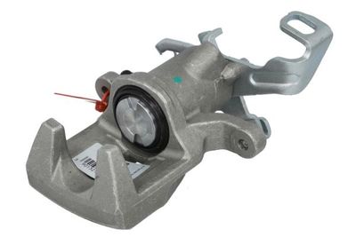 Jarrusatula LAUBER 77.5589