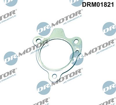 Těsnění, výfuková trubka LIZARTE DRM01821