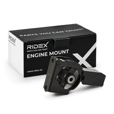 окачване, двигател RIDEX 247E1071