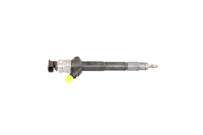 INJECTOR REMANTE 002003002085R 41