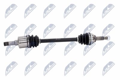 PLANETARA NTY NPWFR031 6