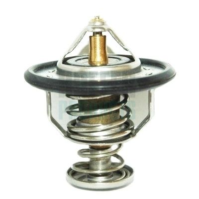 TERMOSTAT LICHID RACIRE