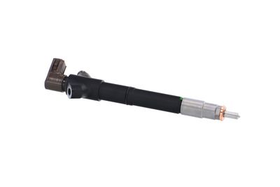 INJECTOR REMANTE 002003001395R 45