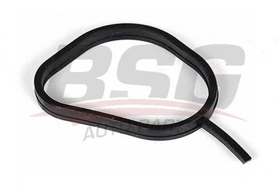 Прокладка, термостат BSG BSG 30-127-002 для FORD FUSION