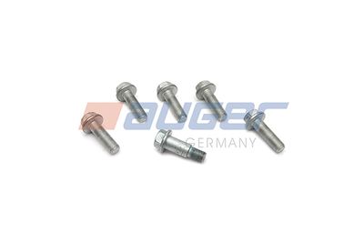 Remklauw reparatieset (bevestigingsbout) Achter/Voor Links/Rechts SAF past: SAF PU, SK, SKRB, SKRLB, SKRS, SKRZ