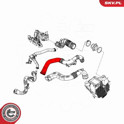 FURTUN EAR SUPRAALIMENTARE ESEN SKV 43SKV147 3