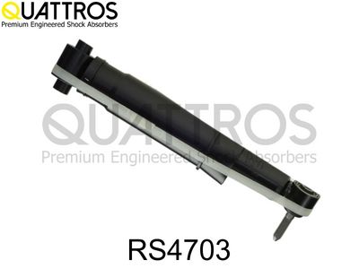 Amortyzator DAVID VASCO RS4703
