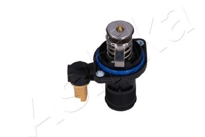 TERMOSTAT LICHID RACIRE