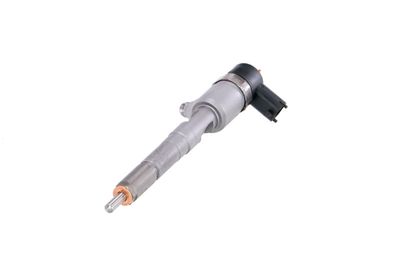 INJECTOR REMANTE 002003001022R 60