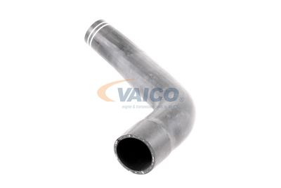 LADELUFTSCHLAUCH VAICO V240712 22