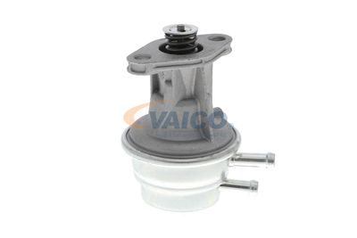 POMPA COMBUSTIBIL VAICO V3004831 38