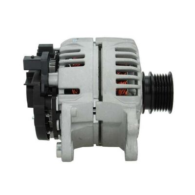 Alternátor BV PSH 305.513.090.010