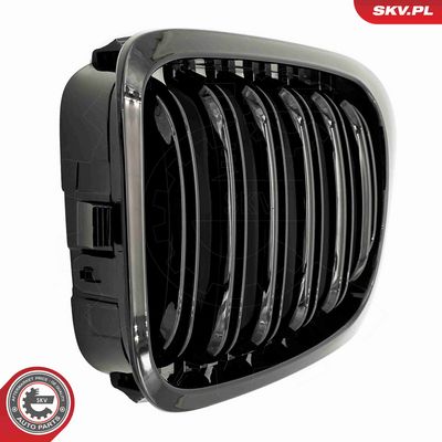 GRILA RADIATOR ESEN SKV 66SKV059 5