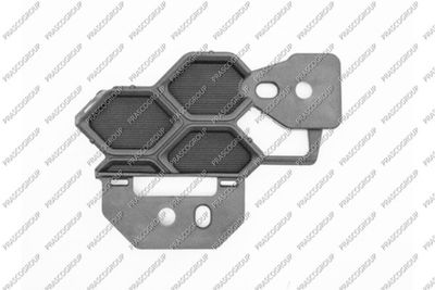 PRASCO SZ0391230 Решетка радиатора для SUZUKI SWIFT V (AZ)