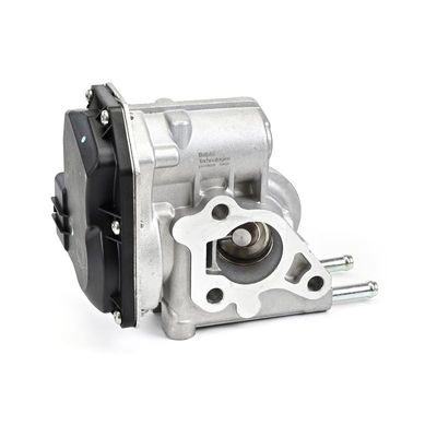 SUPAPA EGR DELPHI EG1062412B1 24