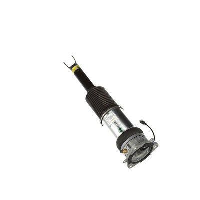 LUFTFEDERBEIN Arnott AS2965 68