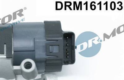 EGR Valve DRM161103