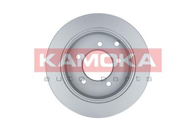 Brake Disc 103169